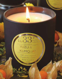 SCENTED CANDLE N.33
